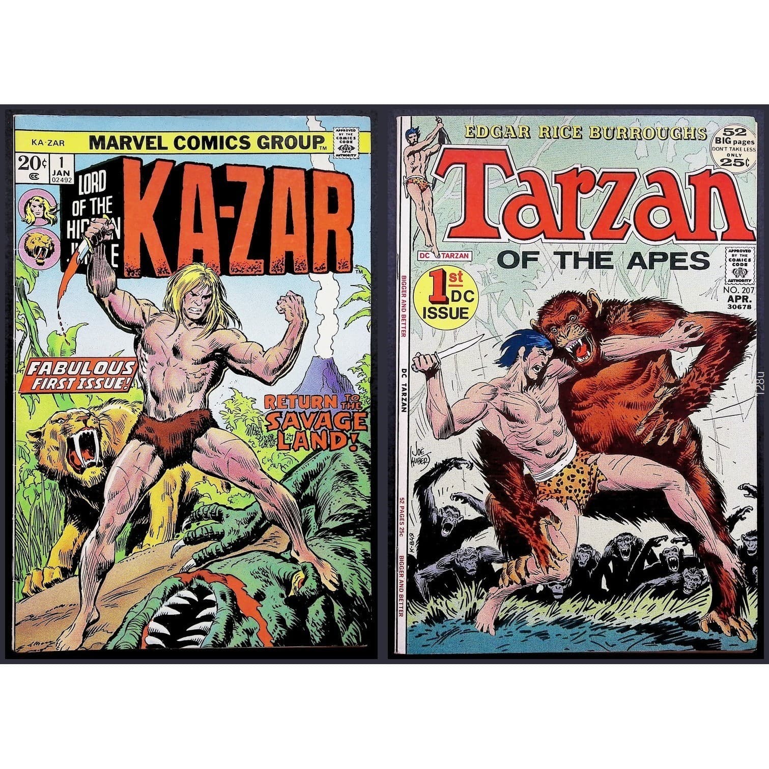 Tarzan #207 & Ka-Zar #1 Lot 1st DC Issue Stan Lee Kubert Kane Bronze Age F