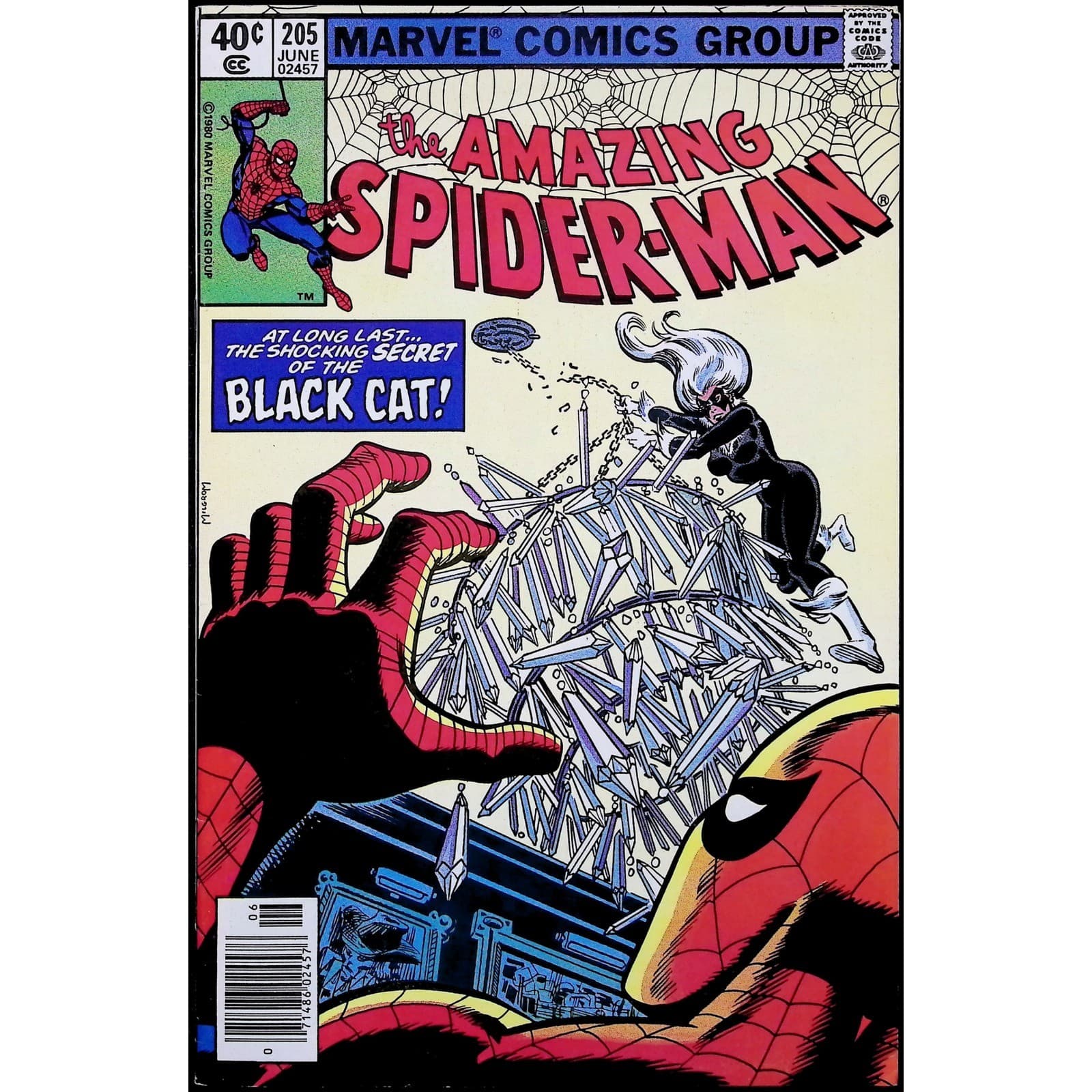 Amazing Spider-Man #205 Newsstand Secret of Black Cat Marvel comic book 1980