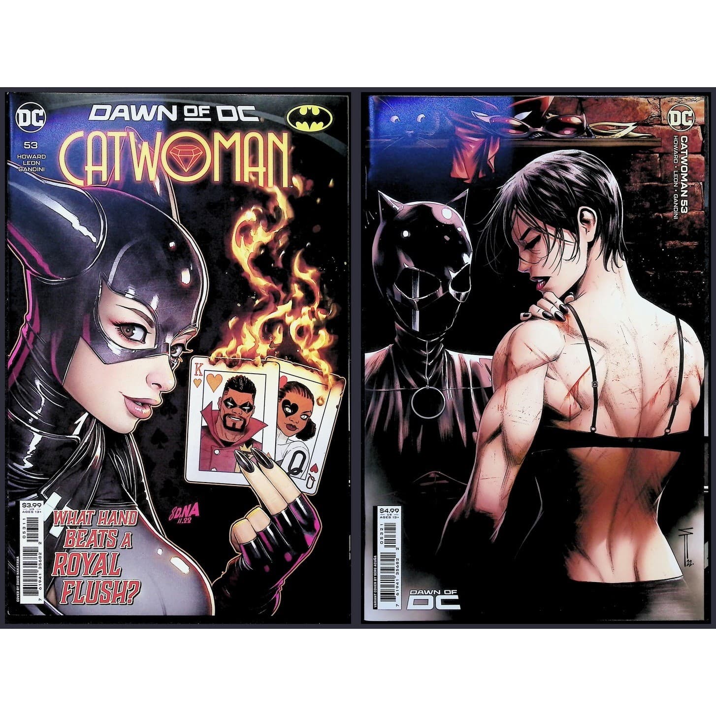 Catwoman 2X Comic Lot #53 53B David Nakayama Sergio Acuna Variant DC