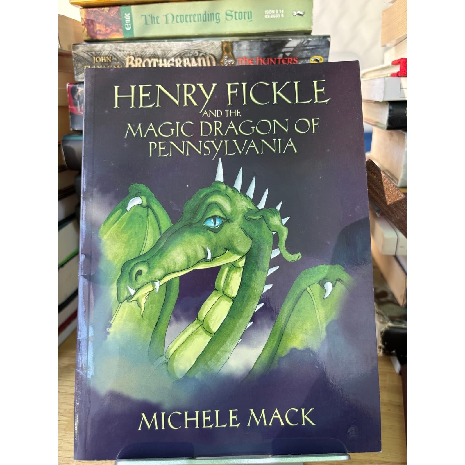 Henry Fickle and the Magic Dragon of Pennsylvania Michele Mack Fantasy Book