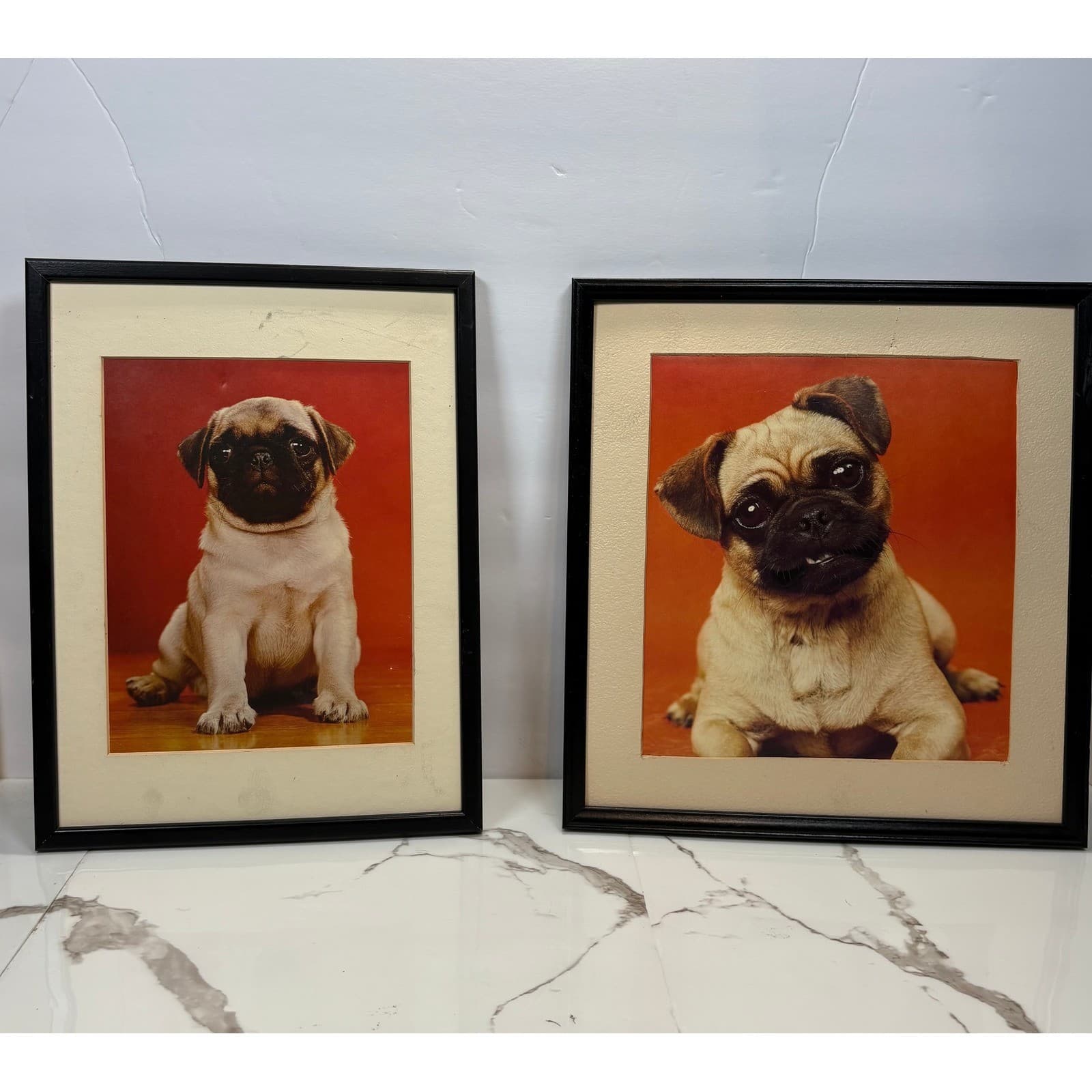 Vintage Framed Pug Puppy Photographic Prints Set of 2 Black Frames Dog Wall Art