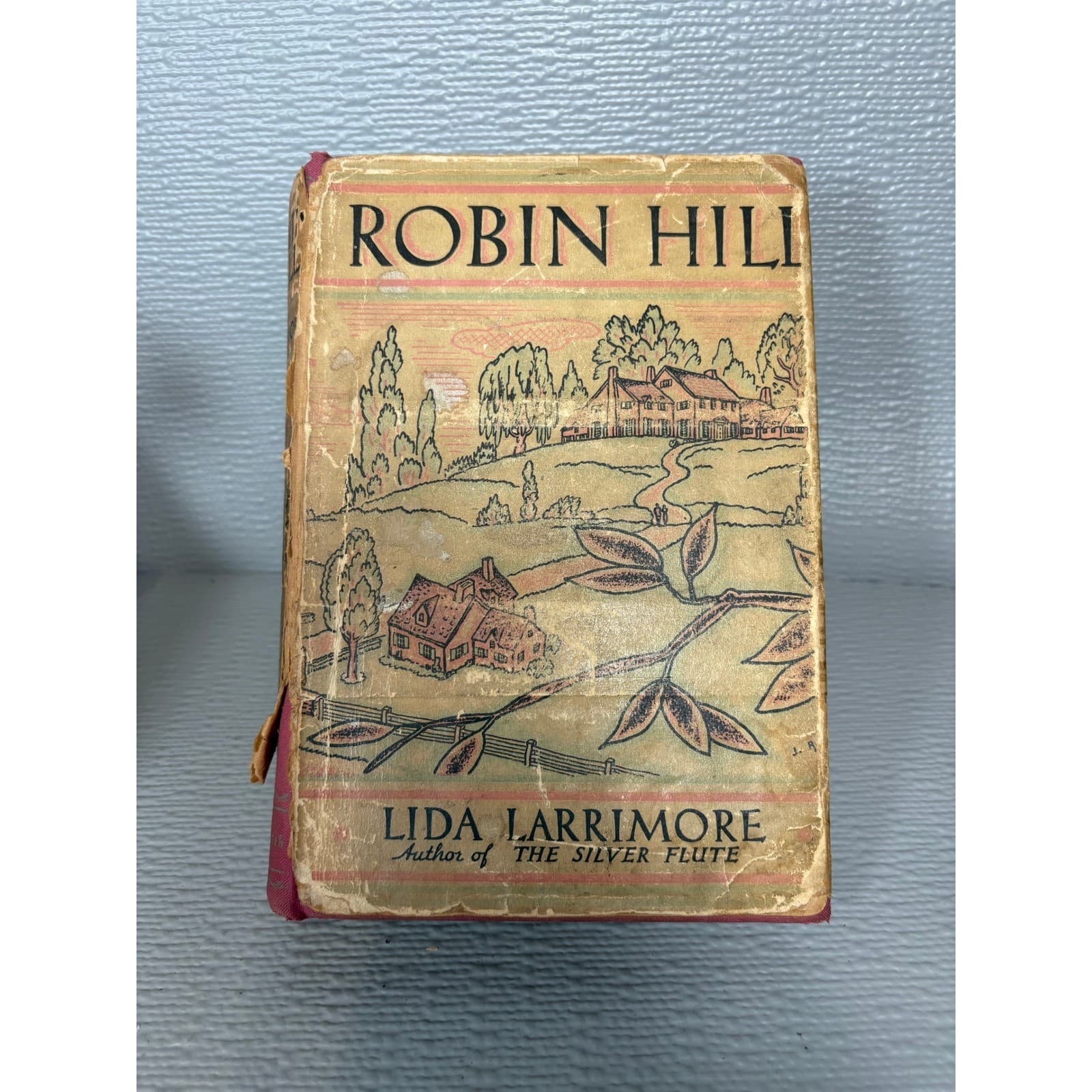 1932 Robin Hill Lida Larrimore First Edition Hardcover Dust Jacket Macrae Smith