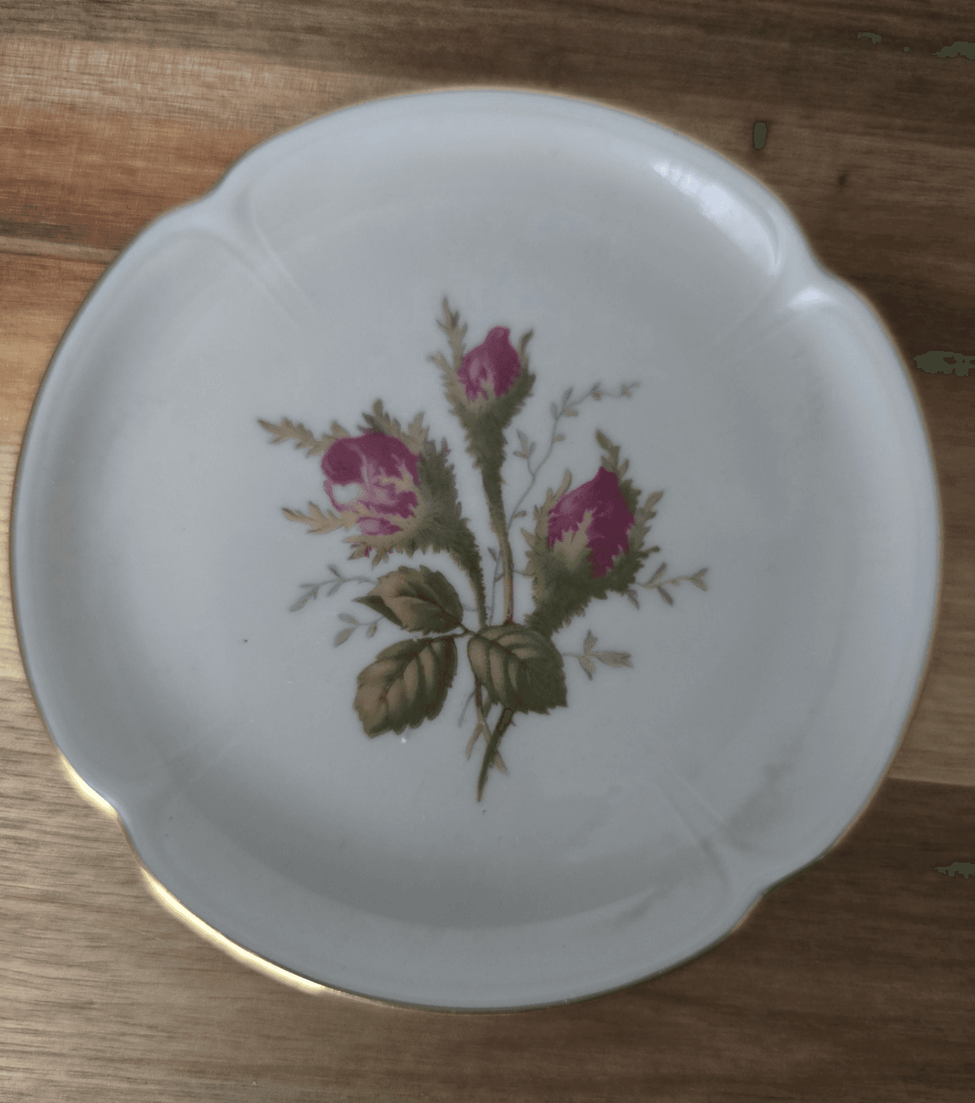 Rosenthal Moss Rose Pompadour 3.5" Butter Pat Tiny Plate Germany Vintage 1974