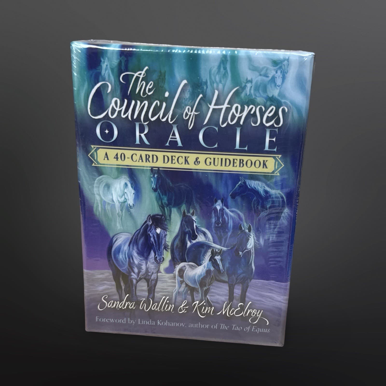 The Council of Horses Oracle 40 Card Deck and Guidebook by S Wallin K McElroy
