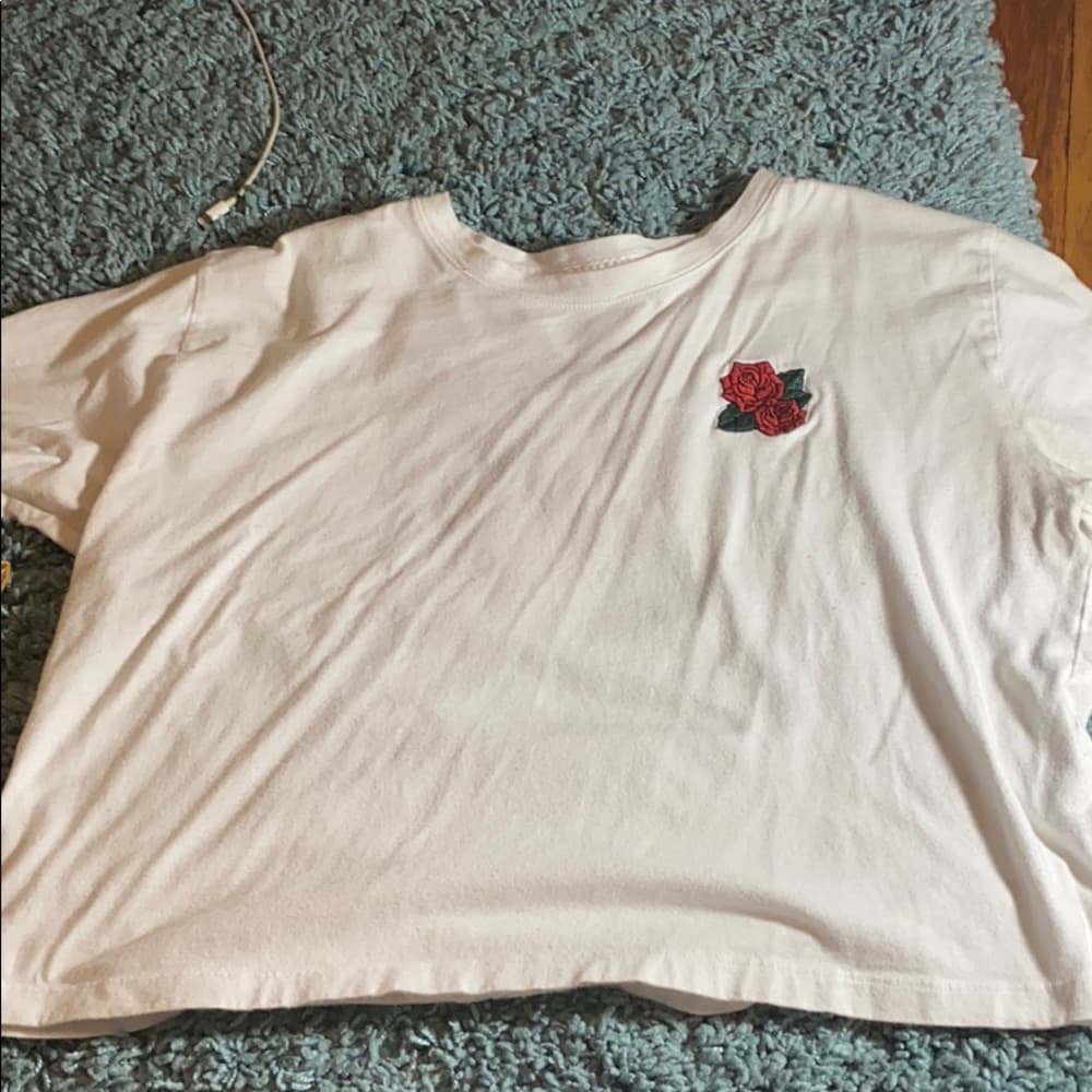 Hollister rose t shirt