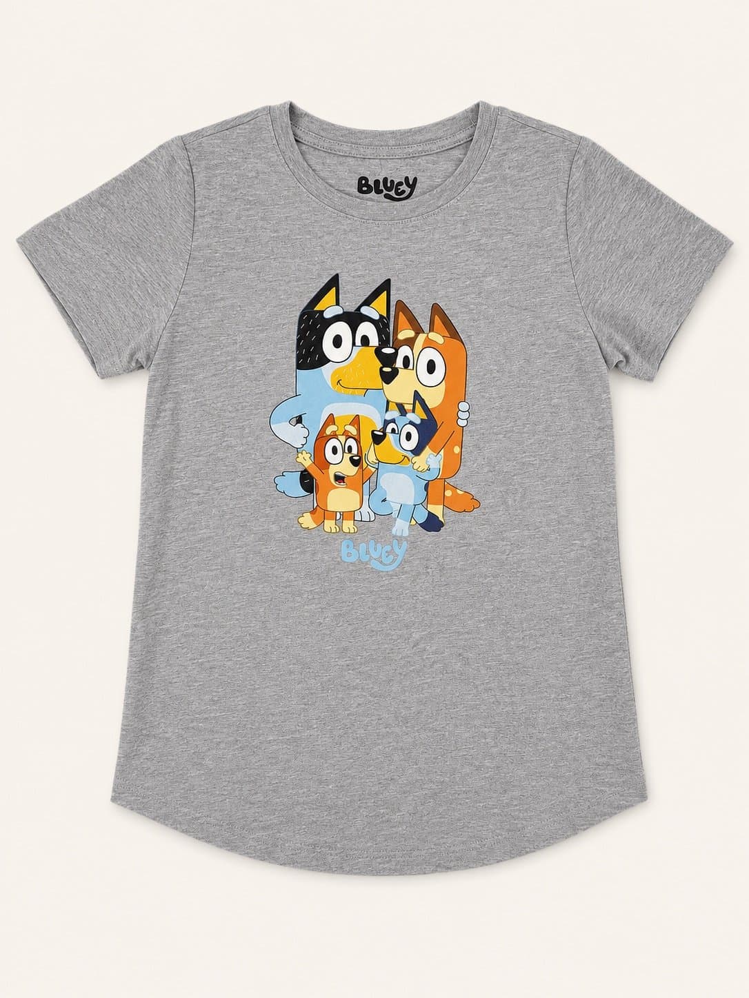 Bluey Family Graphic Tee Women’s Small Gray Short Sleeve Cartoon Character Shirt
