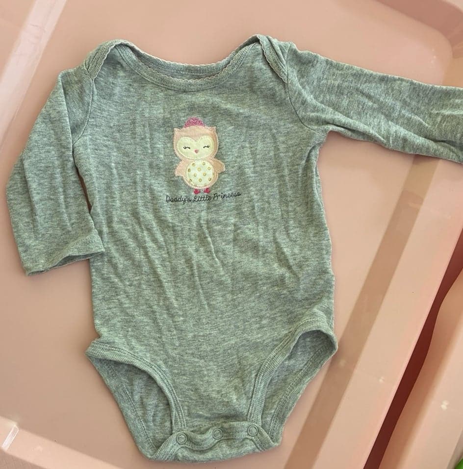 Carter’s Just One You 3M Gray Owl “Daddy’s Little Princess” Long Sleeve Bodysuit