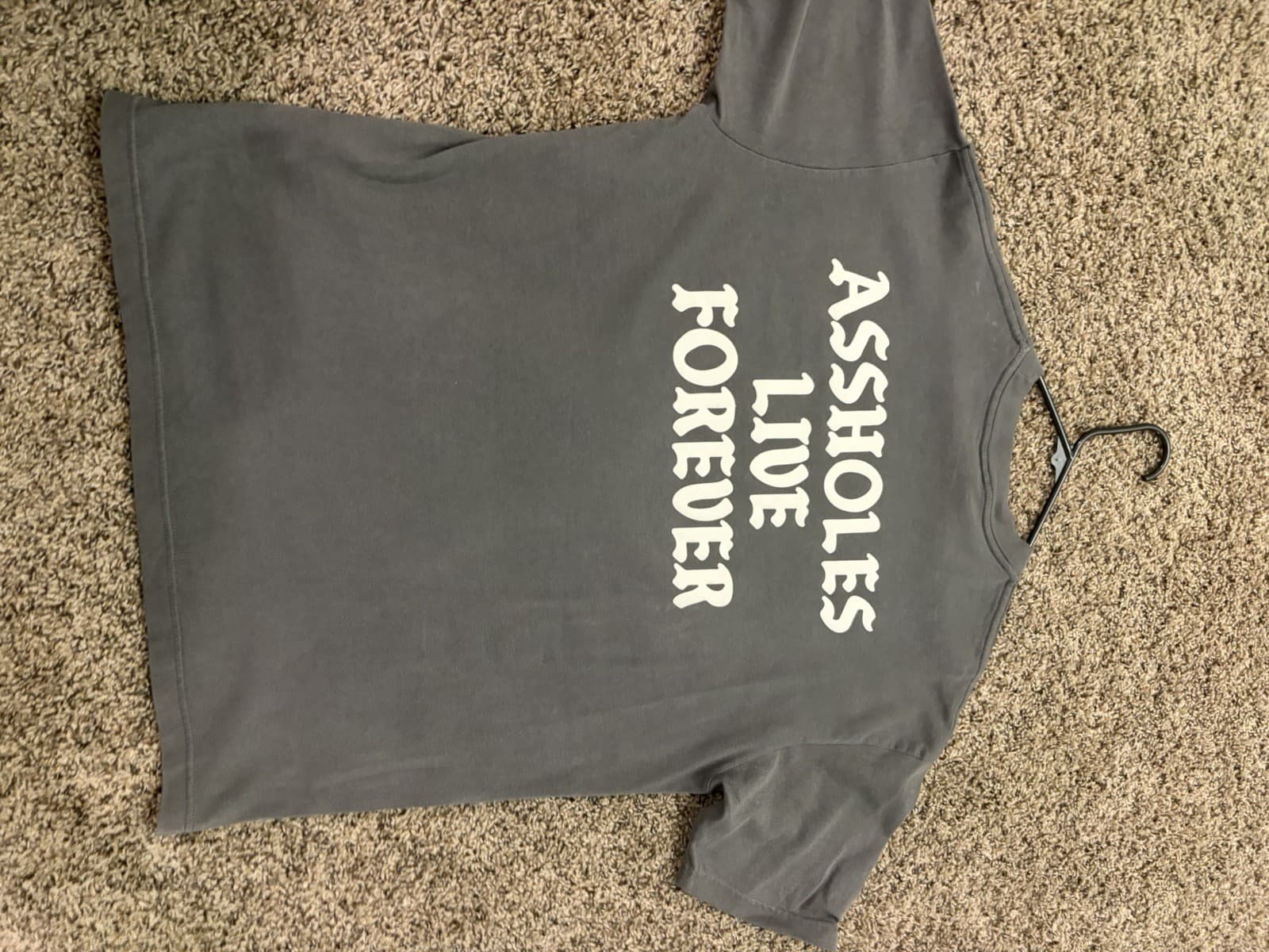 A$$holes Live Forever Short Sleeve Gray T Shirt Size L Classic Logo