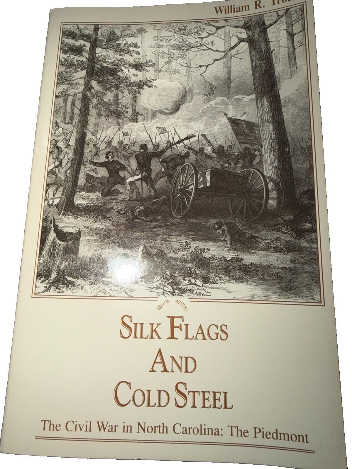 Silk Flags and Cold Steel: The Civil War in North Carolina
