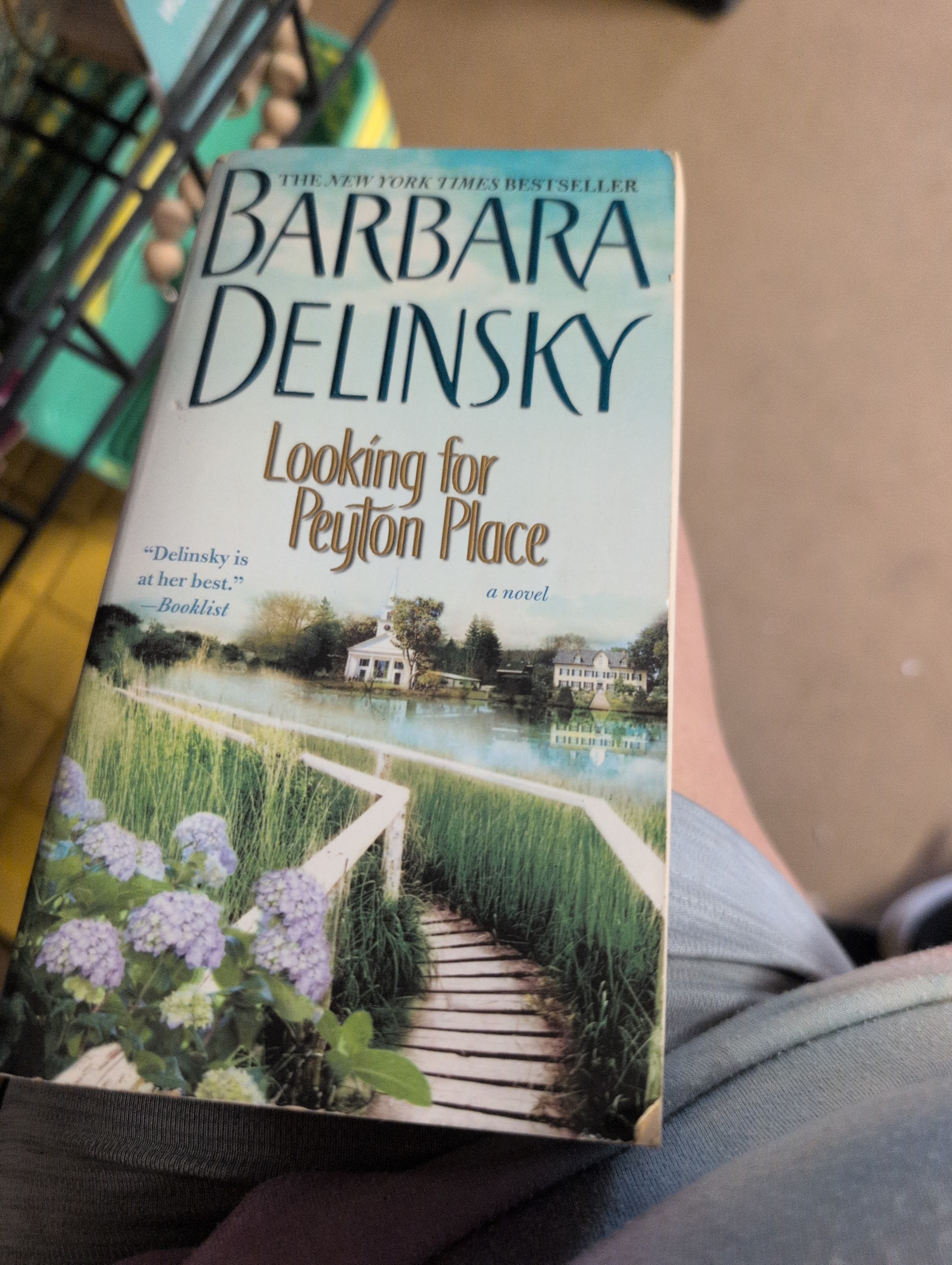 Barbara Delinsky Novel 'Looking for Peyton Place'