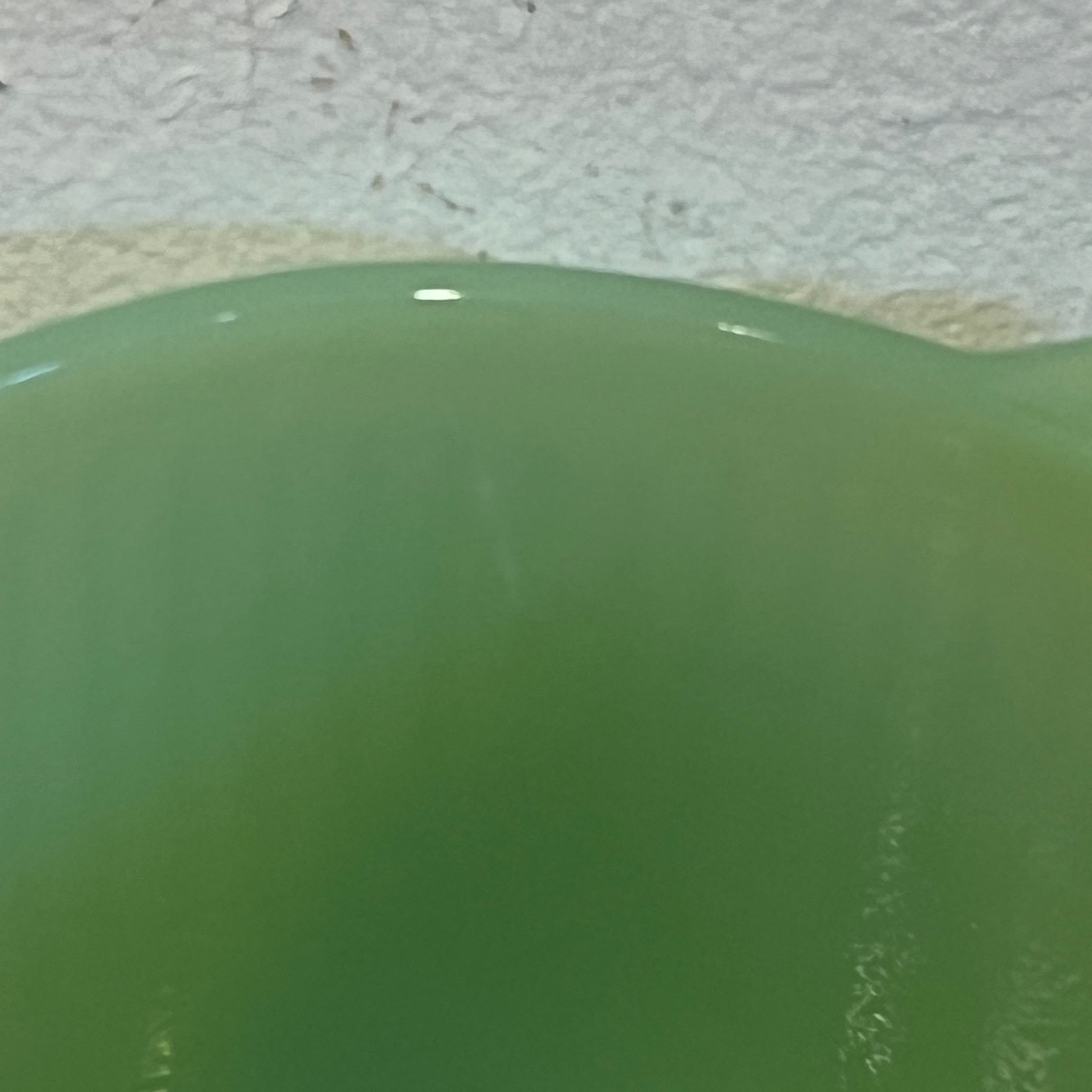 Jadite Sugar Bowl AS IS - Regular