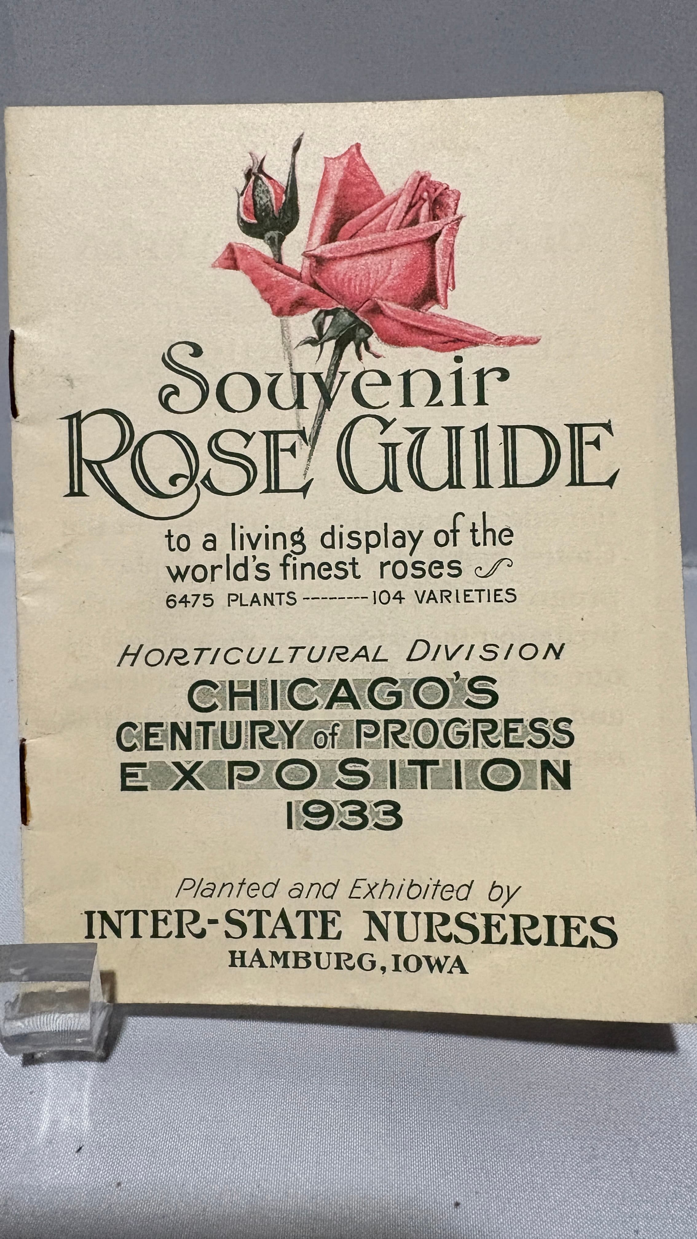 Souvenir Rose Guide - Regular