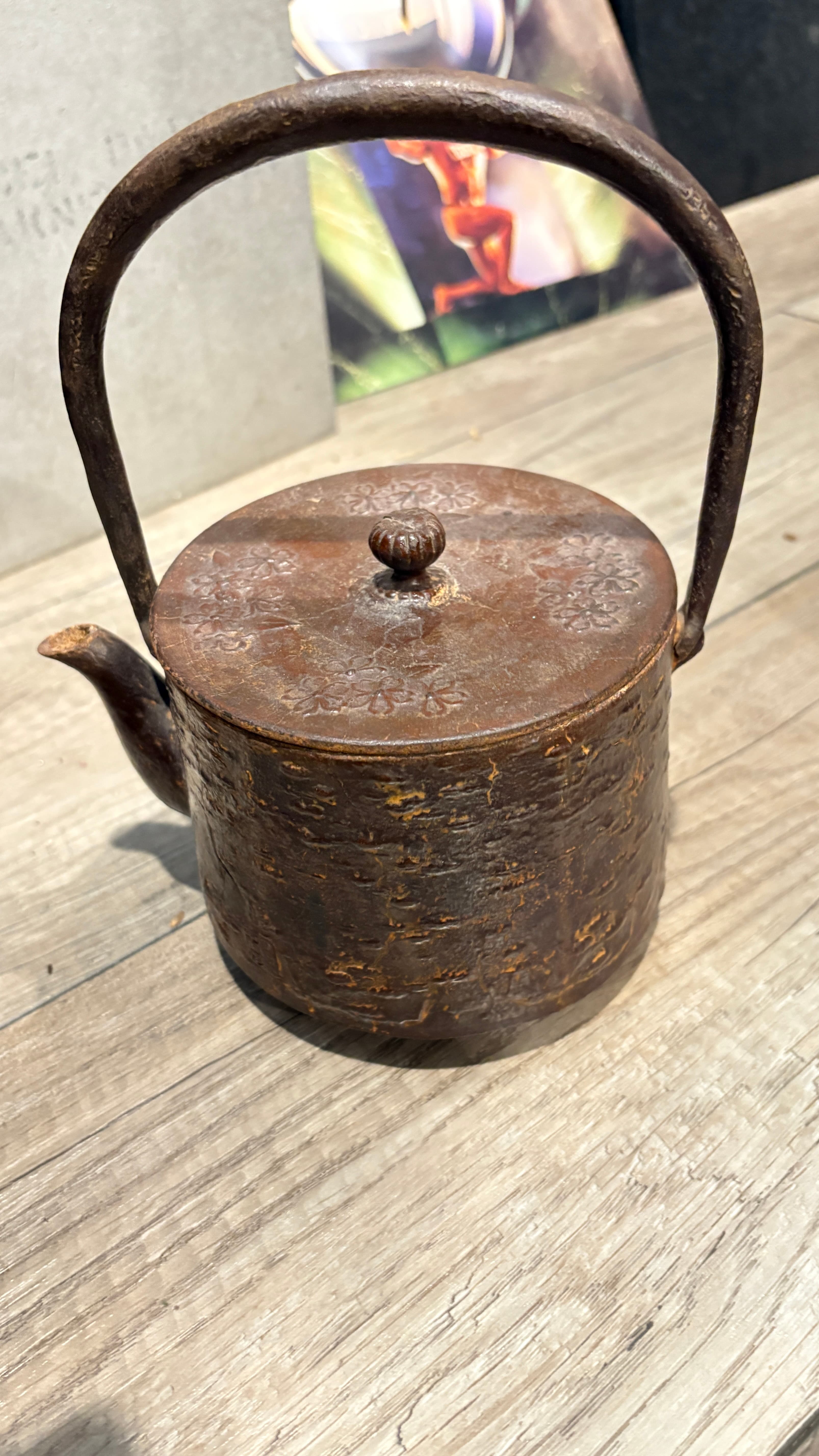 Japanese Tetsubin Cast Iron Teapot - Regular