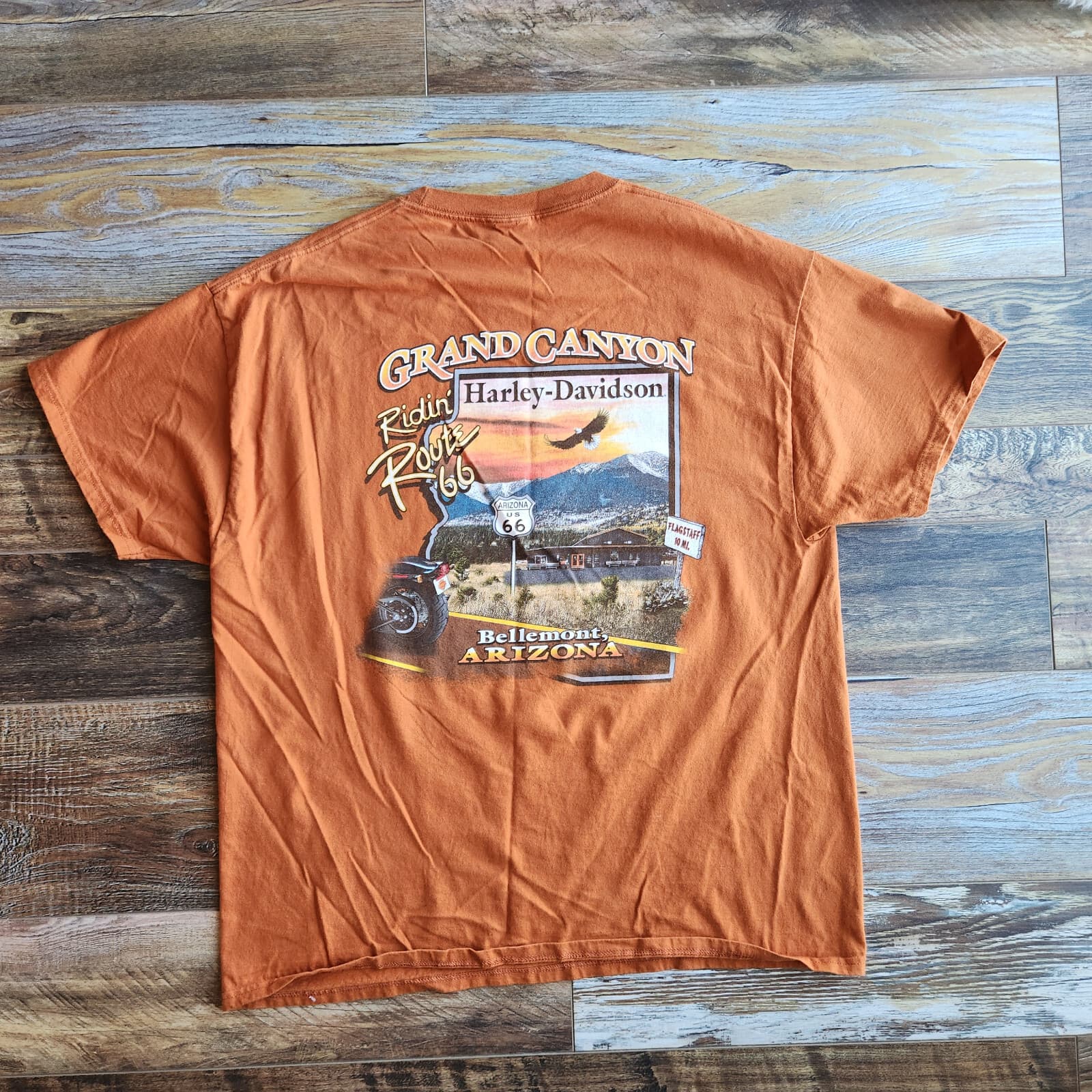 Harley-Davidson Grand Canyon Route 66 Graphic T-Shirt Orange Men Chest 47" L/XL