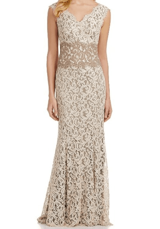 TADASHI SHOJI Embroidered Lace Formal Maxi Dress Gown Sleeveless Beige Womens 4P