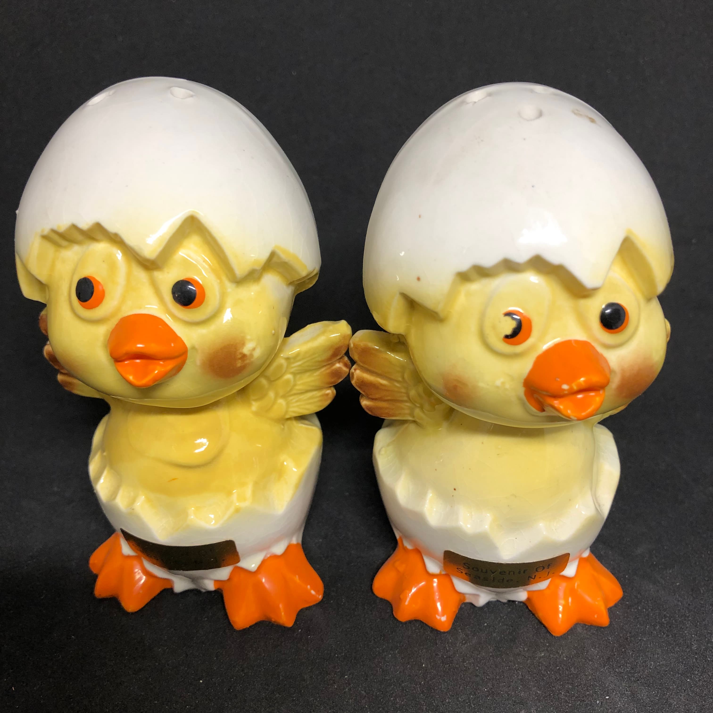 Hatching Chicks Salt & Pepper Shakers Souvenir Seaside NJ