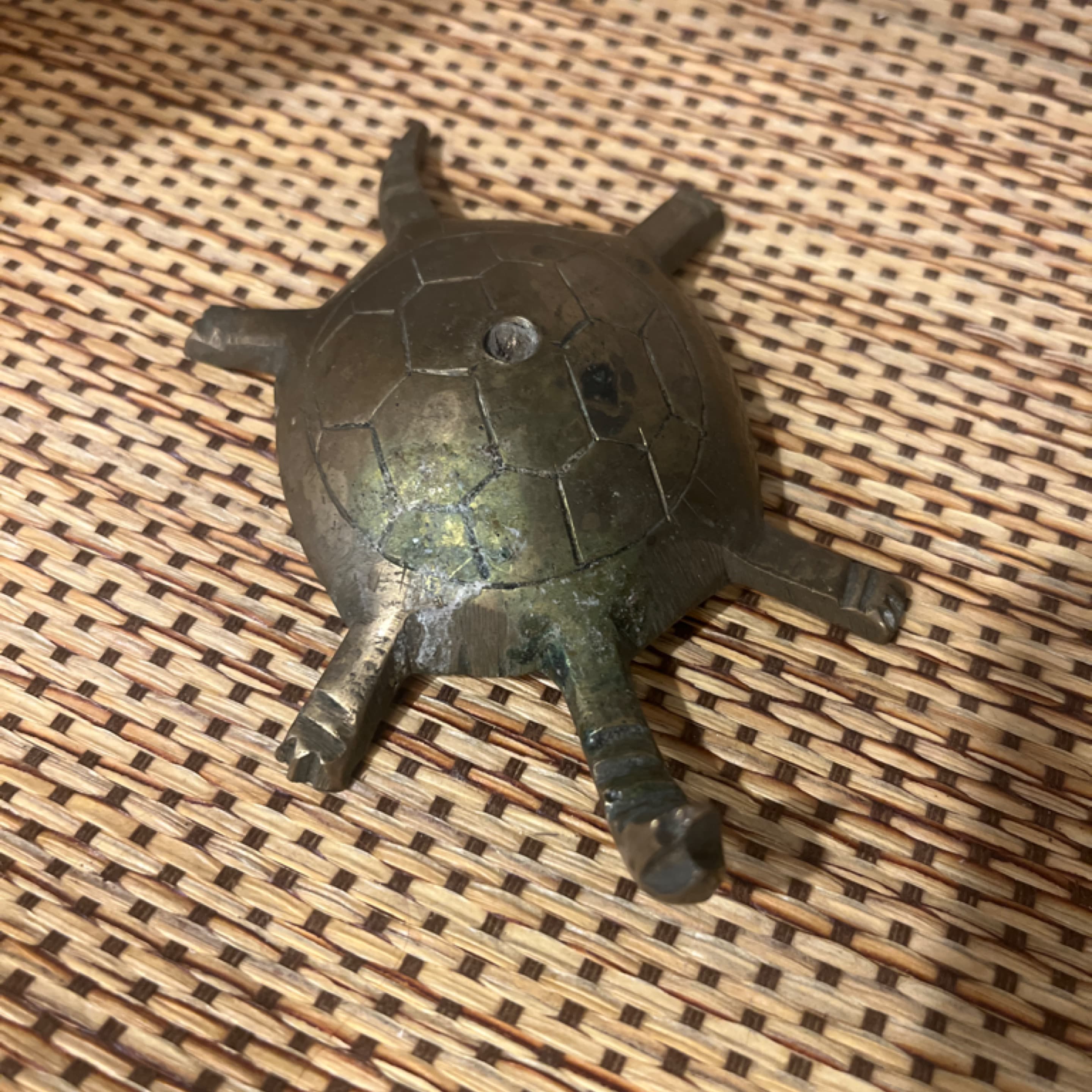 Brass turtle paper weight - Regular - Image 1
