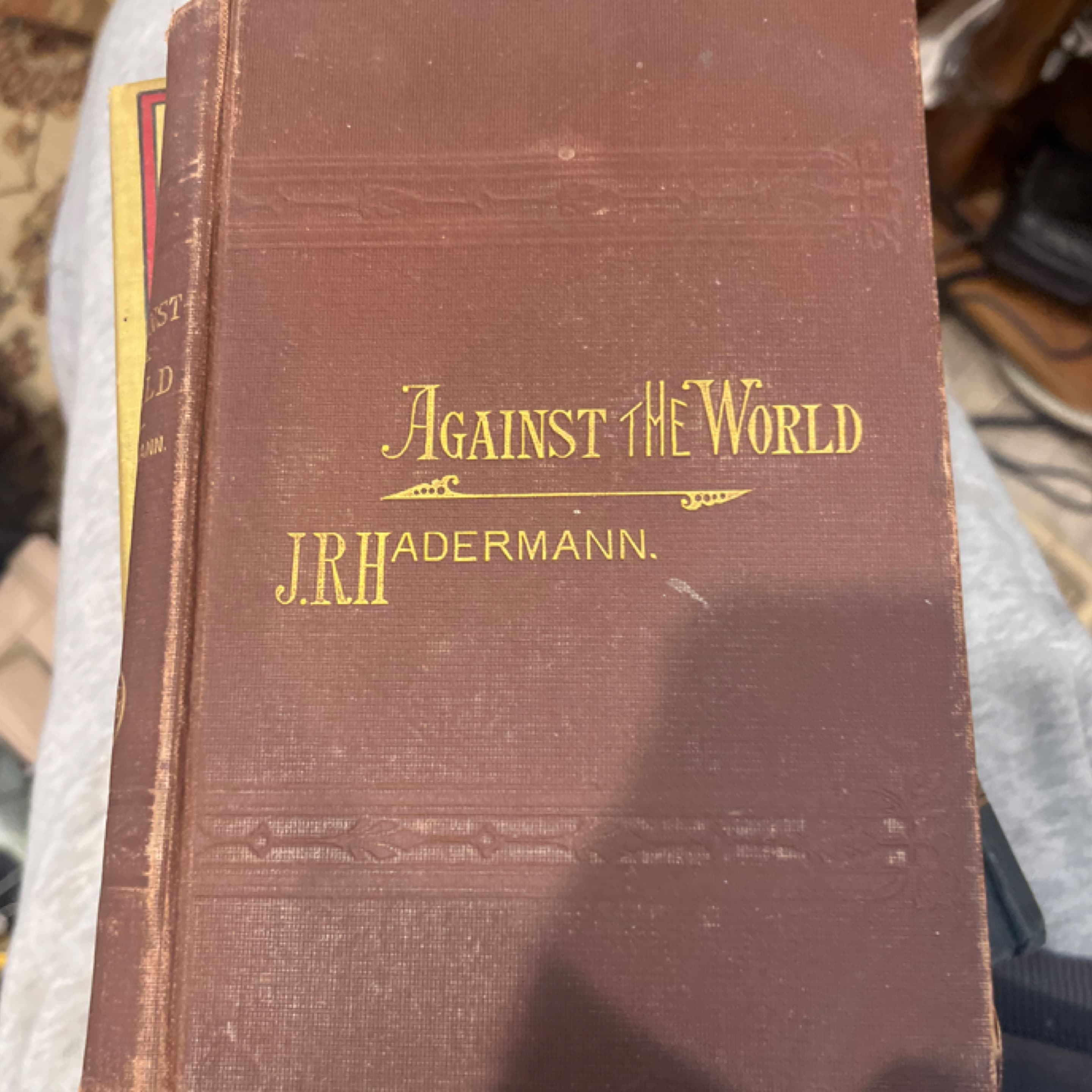 Antique ‘Against the World’ by J.R. Hadermann – Decorative Cloth Book - Regular