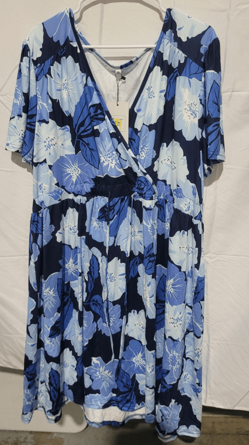 SIZE 3XL Blue Flower Dress