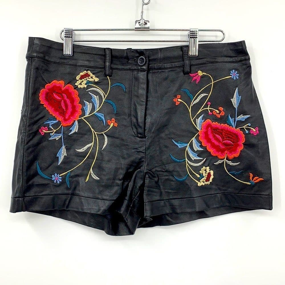 Staring at Stars Embroidered Shorts Sz 6