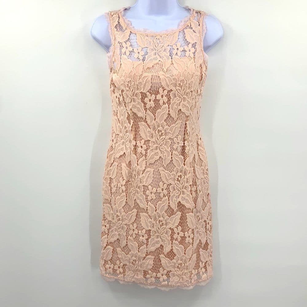 Adrianna Papell Blush Pink Lace Sleeveless Dress Sz 4