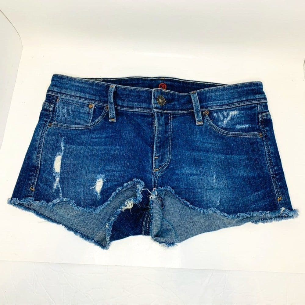 Sinclair MFGRP Shorts Sz 26