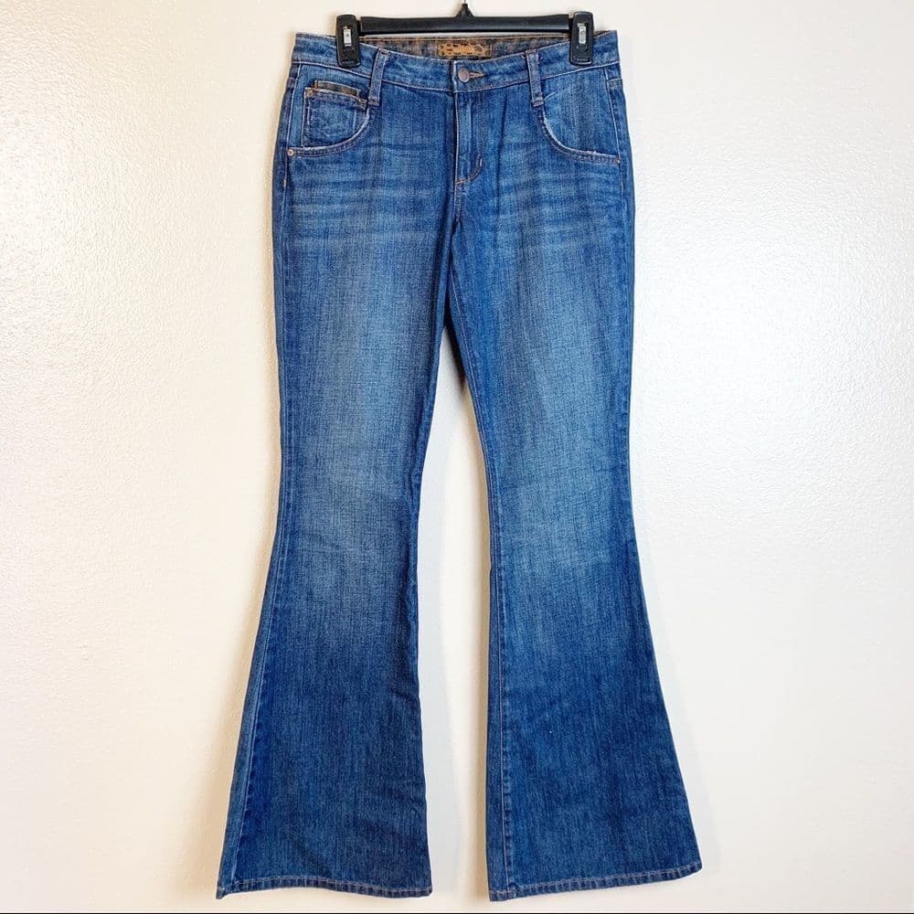 Wild Joe’s Jeans Visionaire Flare Jeans Size 27