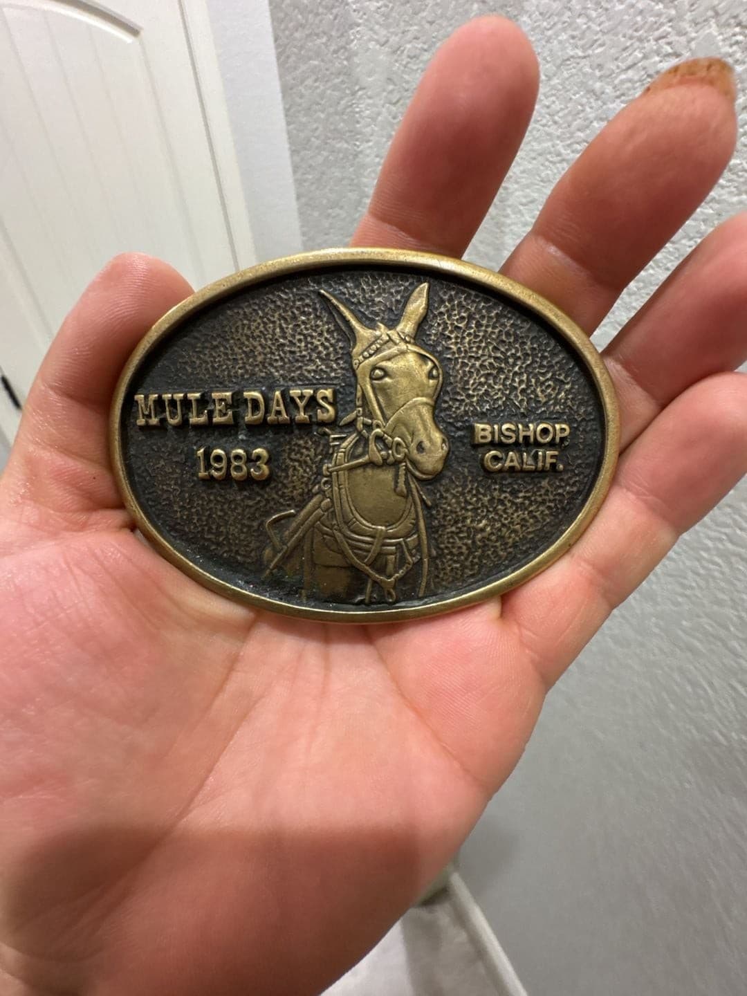 Bishop California Mule Days 2007 Solid Bronze Belt Buckle,