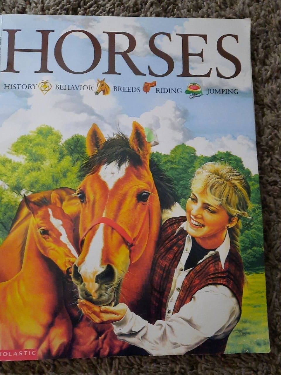 Horses by Jackie Budd