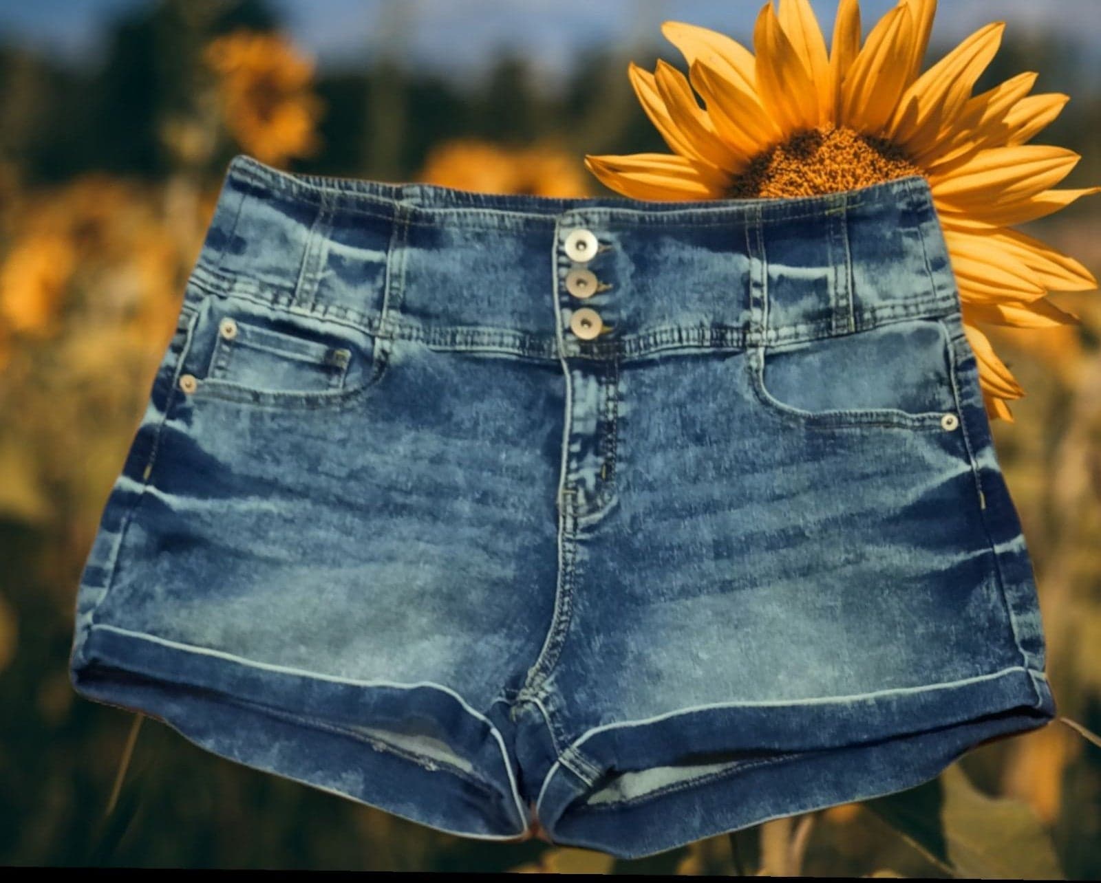 Size 17 Jean Shorts