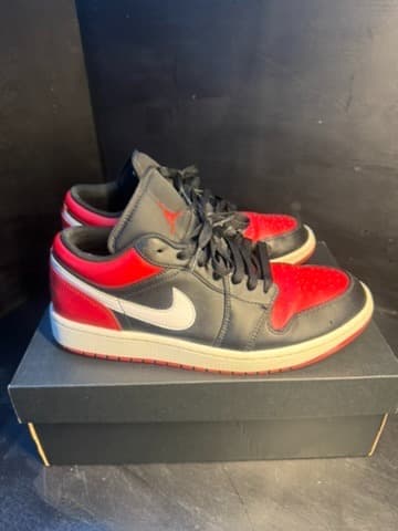 Jordan dunk low w box