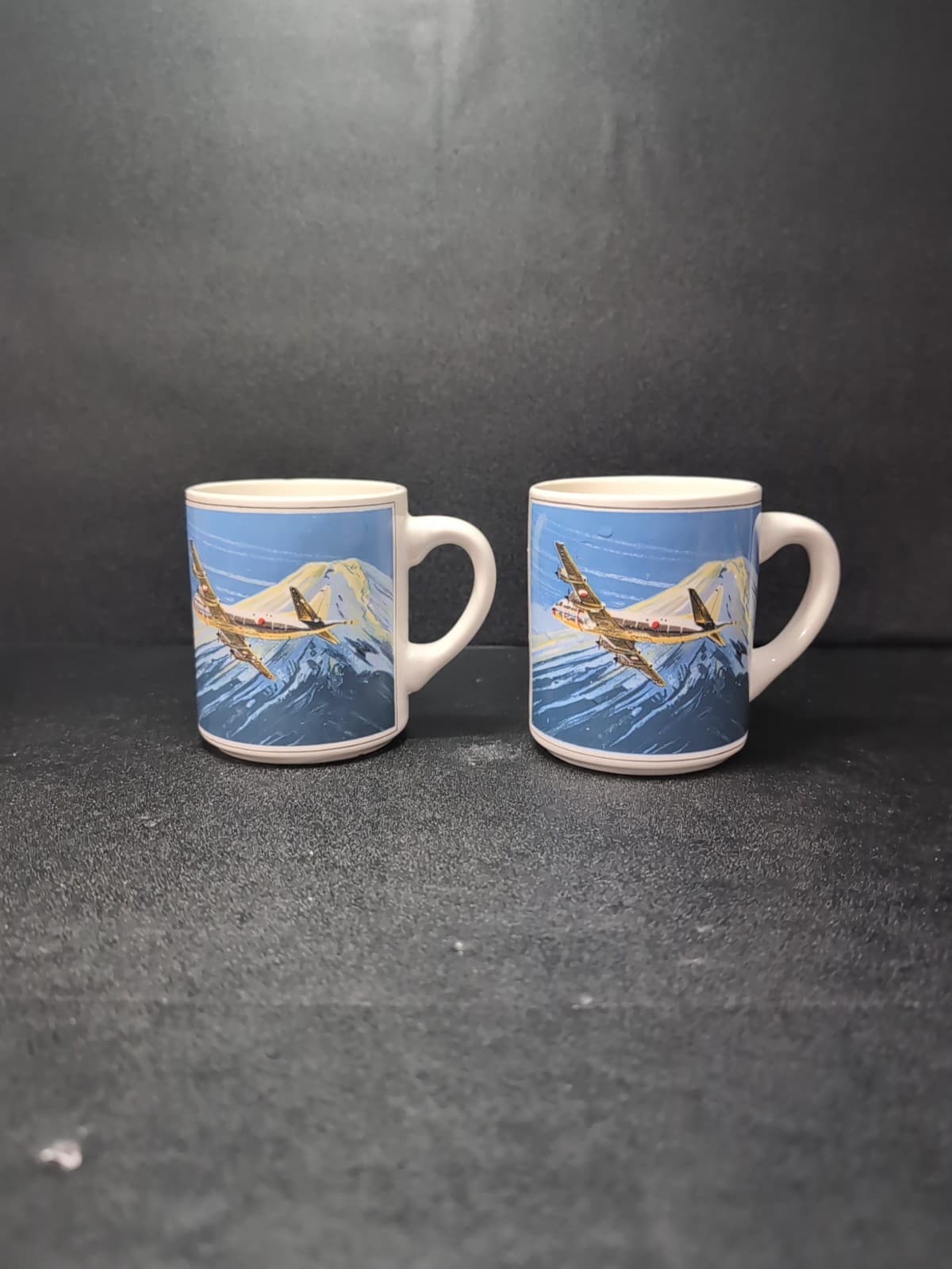 Douglas DC-4 Coffee Mugs Set, Vintage Flight Scene, Aviation Gift, Collector's
