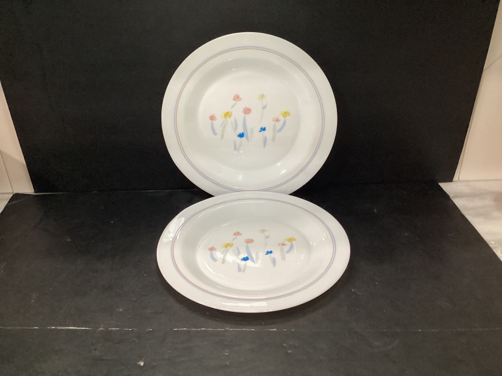 Arcopal PASTORAL Dinner Plates France Flowers Floral Dinnerware Set Of 2 Vintage
