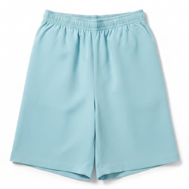 Alfred Dunner Petite Light Blue Elastic Waist Pull On Shorts, Woman's Size 8P