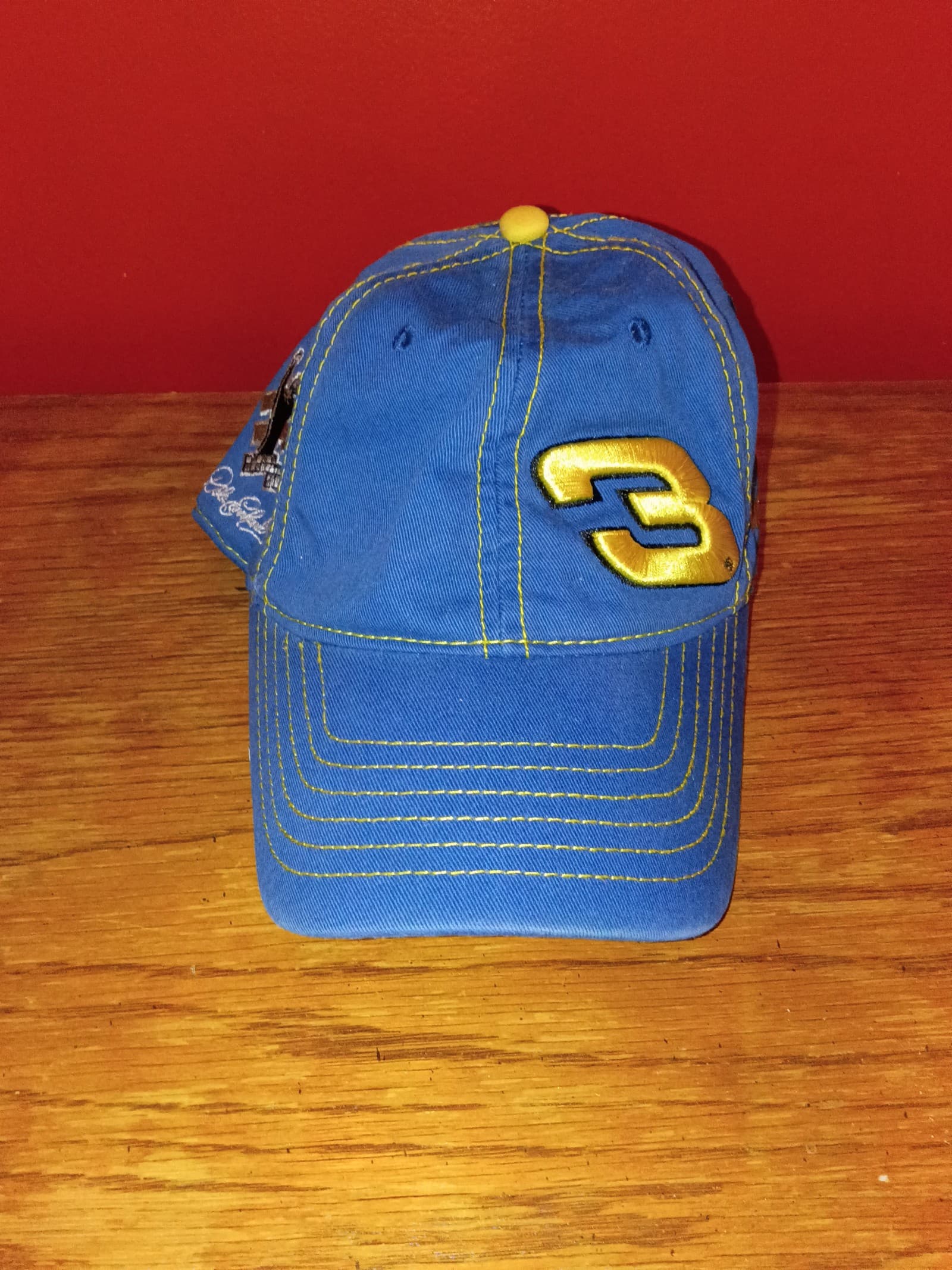Dale Earnhardt hat vintage