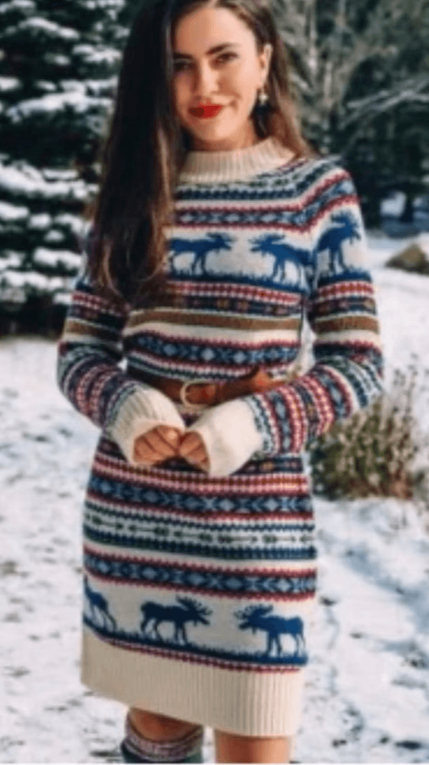 Kiel James Patrick Cozy Cabin Size XS Fair Isle Moose Sweater Dress Wool Blend z
