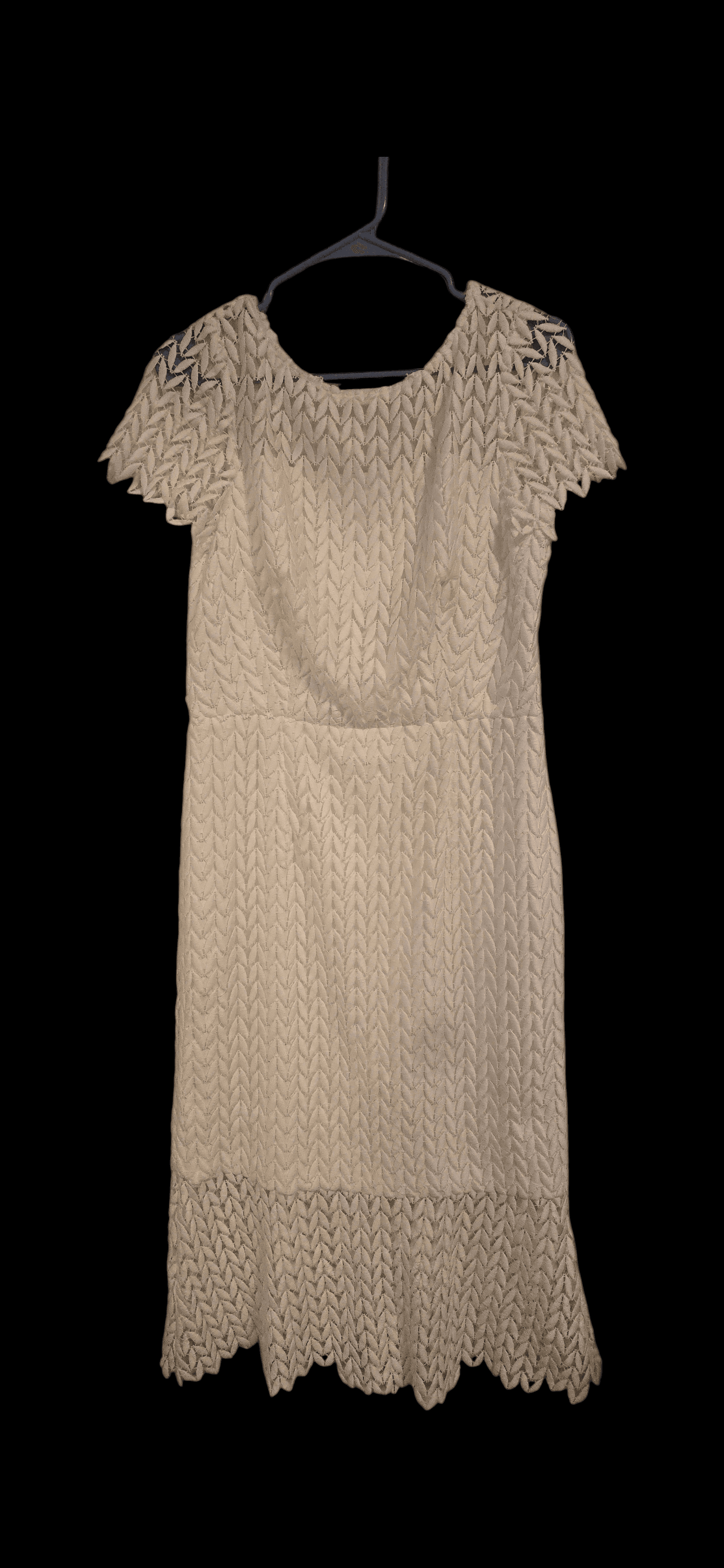 Kay Unger New York Lace Dress Size 10