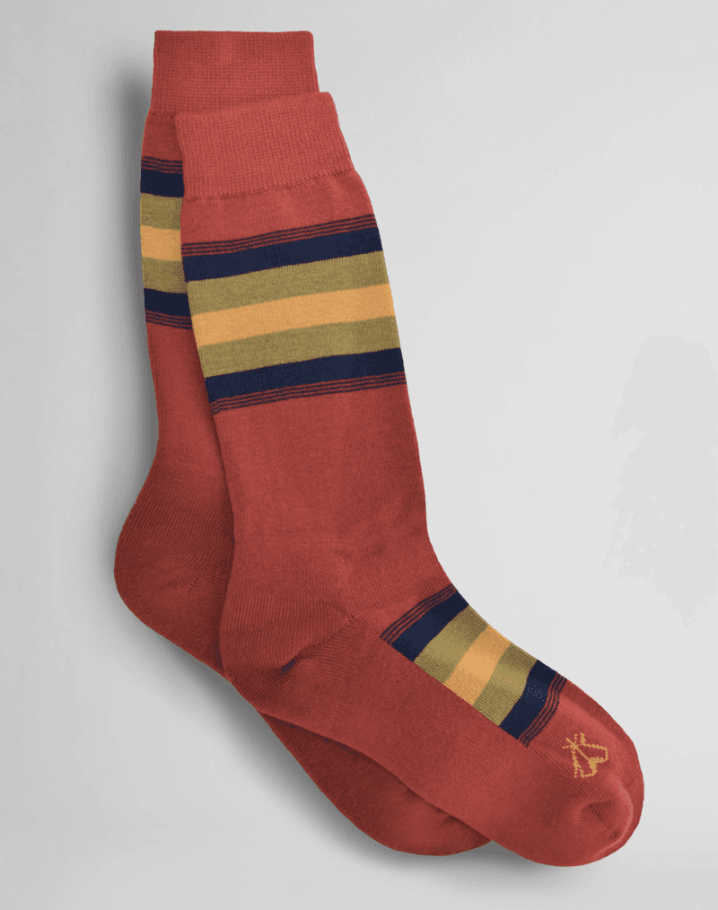 National Parks Socks - Zion, Medium