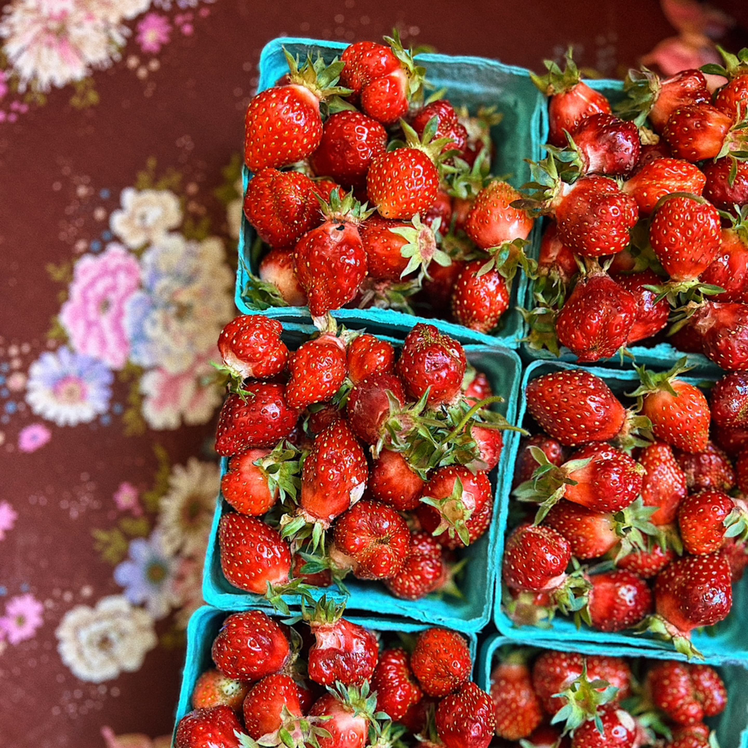 fresh & fruity local berries! - pint