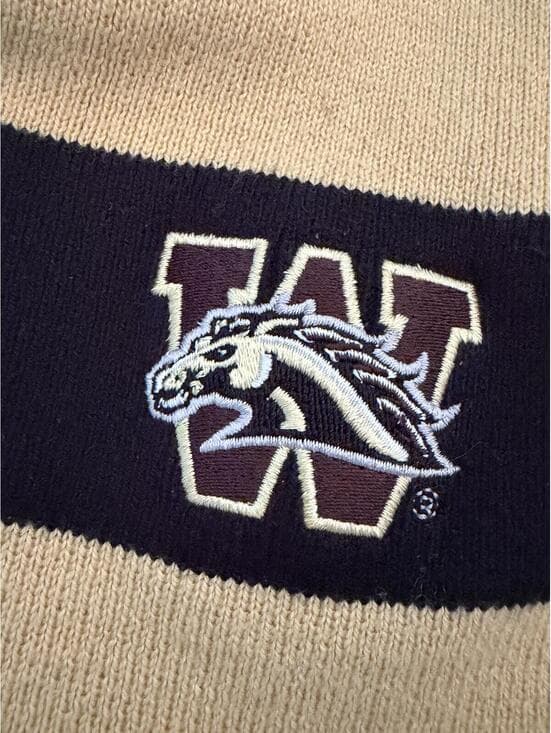 Western Michigan University (WMU) Broncos striped Knit Scarf