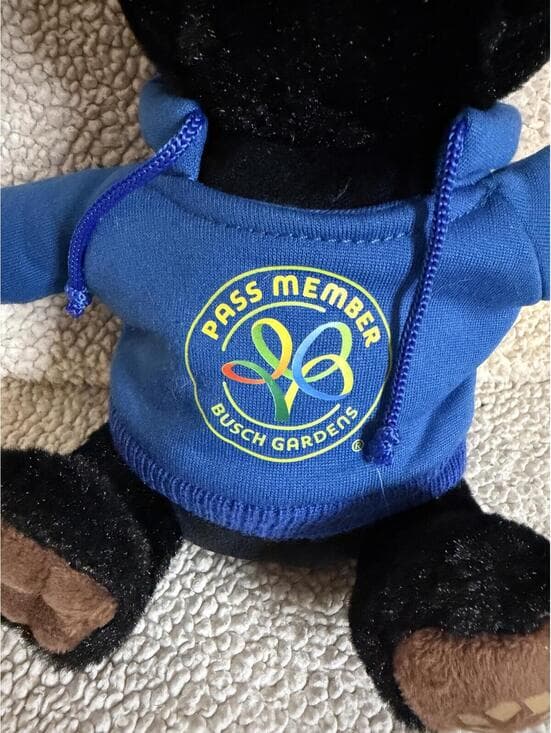 Busch Gardens Pass Member Bear Plush in Blue Hoodie