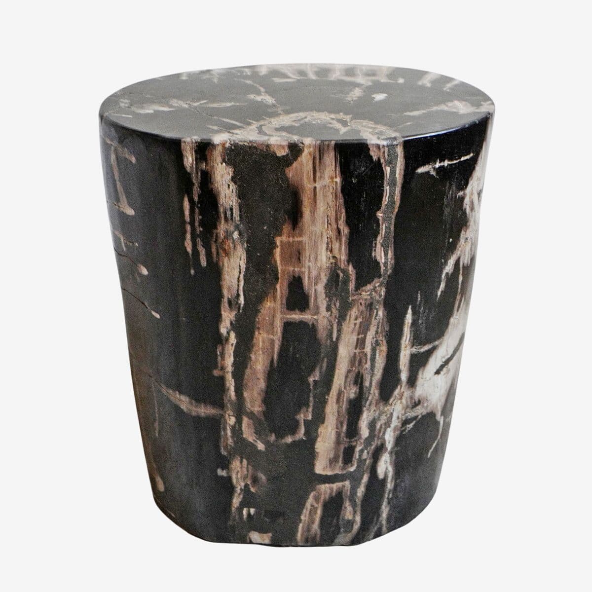 Petrified Wood Stump Stool - Image 1